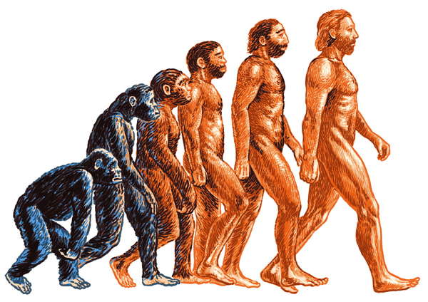 эволюция-человека